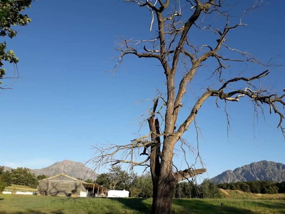 Klipfontein Rustic Farm & Camping Tulbagh Εξωτερικό φωτογραφία