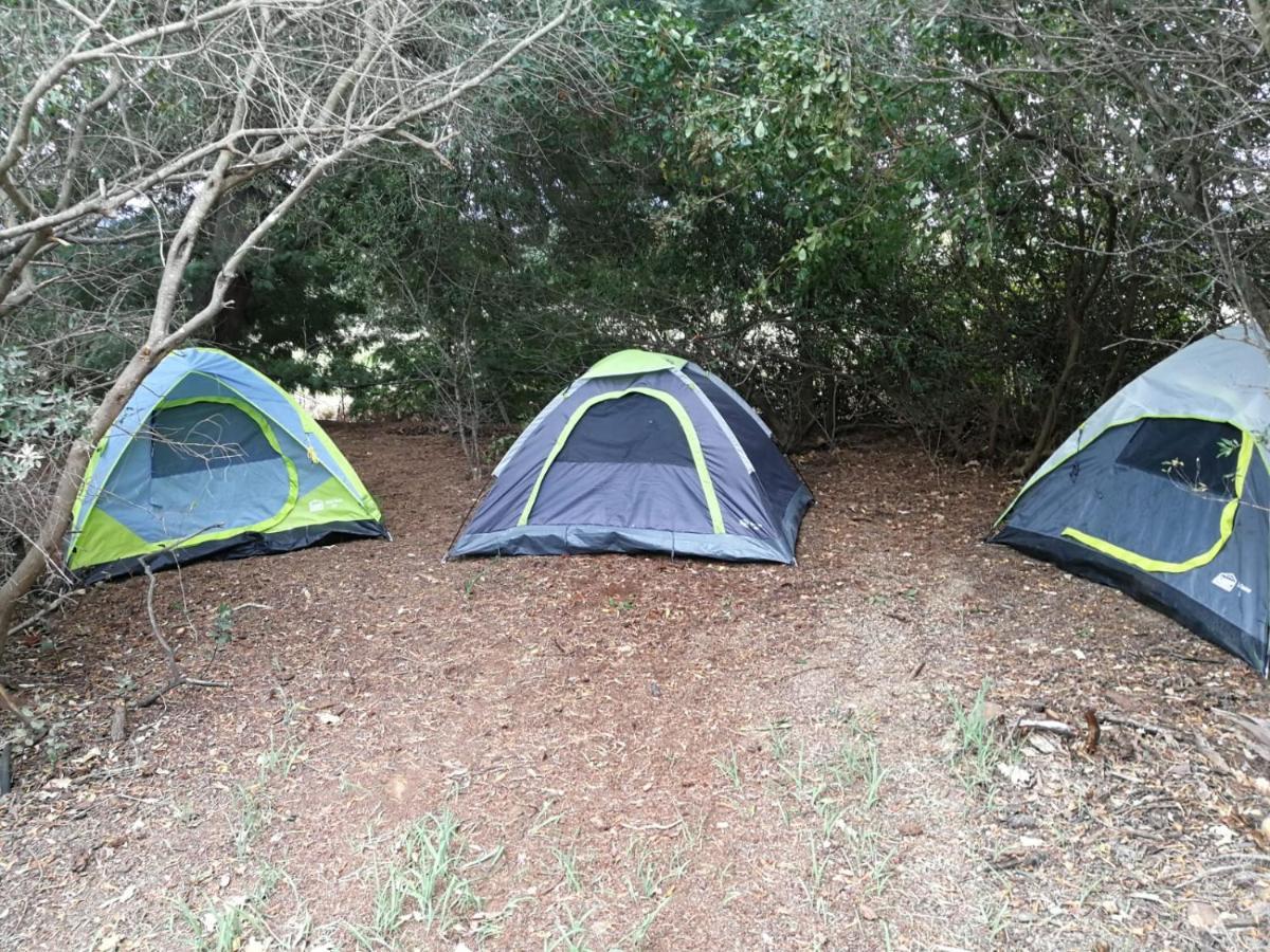 Klipfontein Rustic Farm & Camping Tulbagh Εξωτερικό φωτογραφία