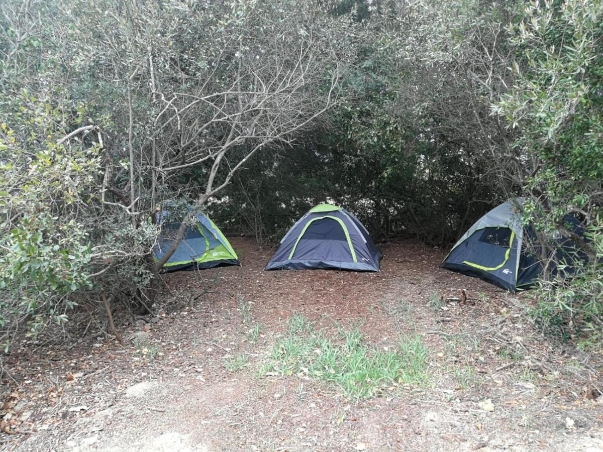 Klipfontein Rustic Farm & Camping Tulbagh Εξωτερικό φωτογραφία