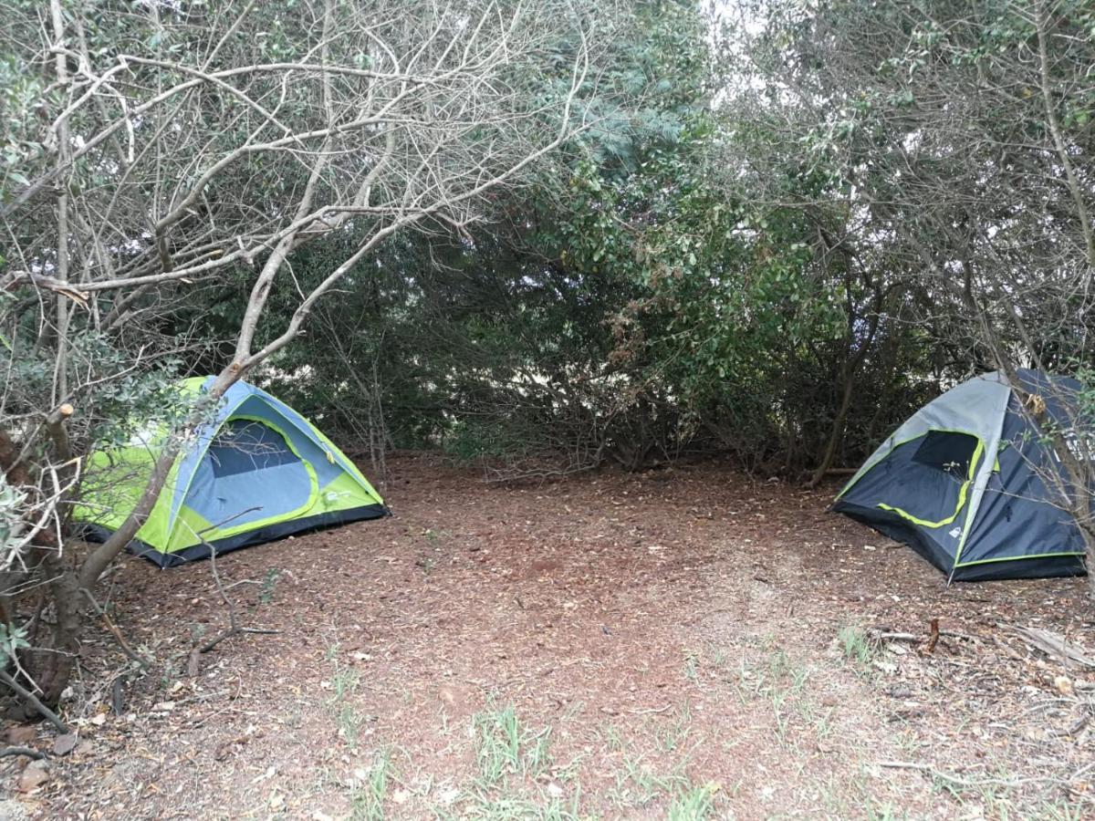 Klipfontein Rustic Farm & Camping Tulbagh Εξωτερικό φωτογραφία
