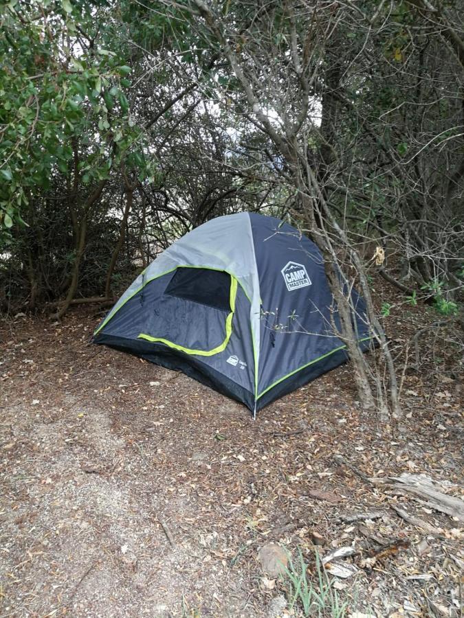 Klipfontein Rustic Farm & Camping Tulbagh Εξωτερικό φωτογραφία
