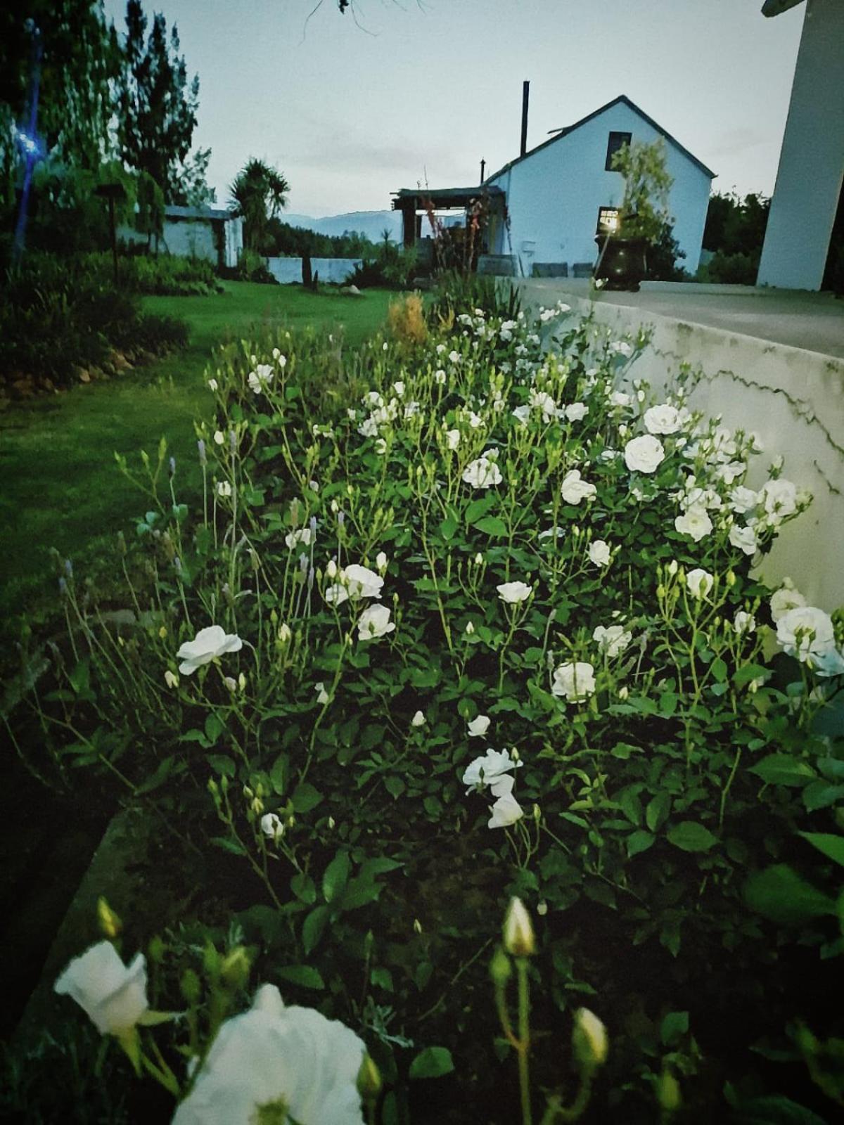 Klipfontein Rustic Farm & Camping Tulbagh Εξωτερικό φωτογραφία